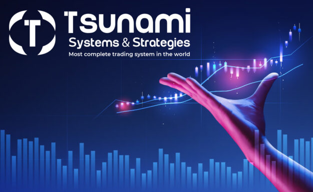 Tsunami Systems & Strategies